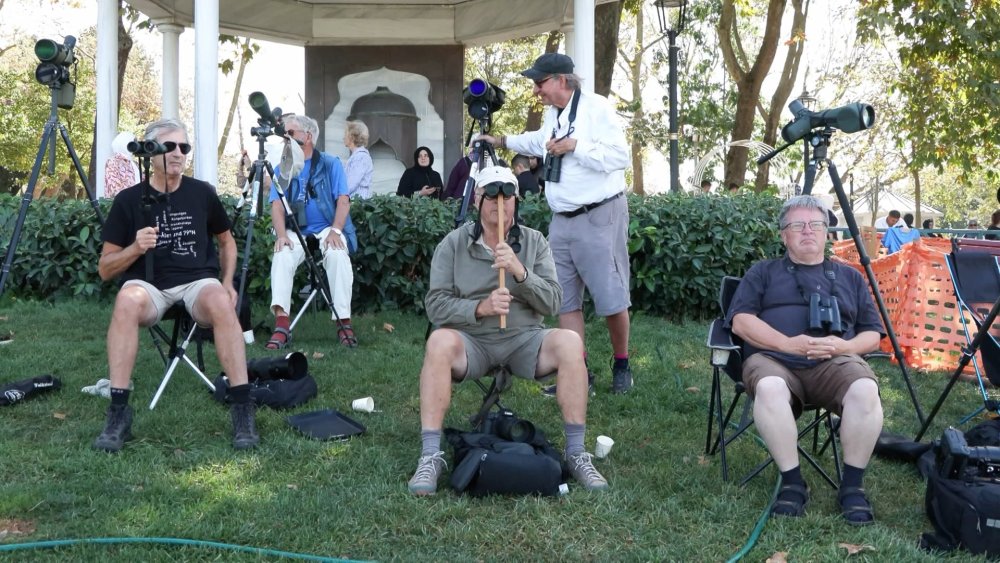 Dünyanın dört bir yanından geliyorlar: Yırtıcı kuş göçü gözlemi