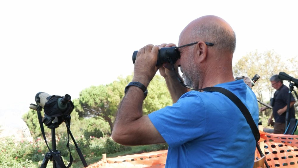 Dünyanın dört bir yanından geliyorlar: Yırtıcı kuş göçü gözlemi