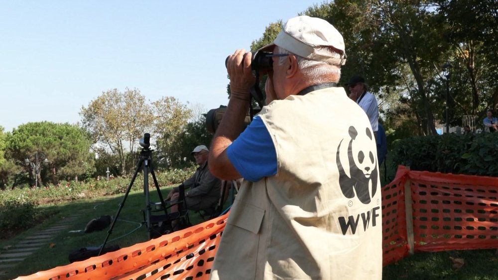 Dünyanın dört bir yanından geliyorlar: Yırtıcı kuş göçü gözlemi