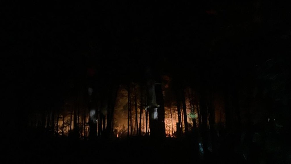 İstanbul'da orman yangını: Müdahale ediliyor