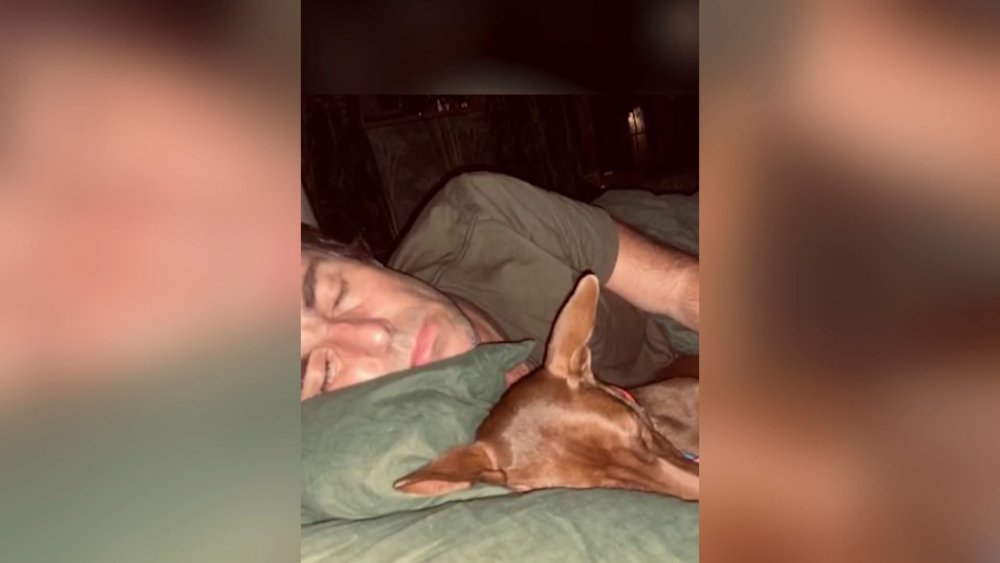 Sokak köpeğinin başına talih kuşu kondu: Ünlü solist sahiplendi