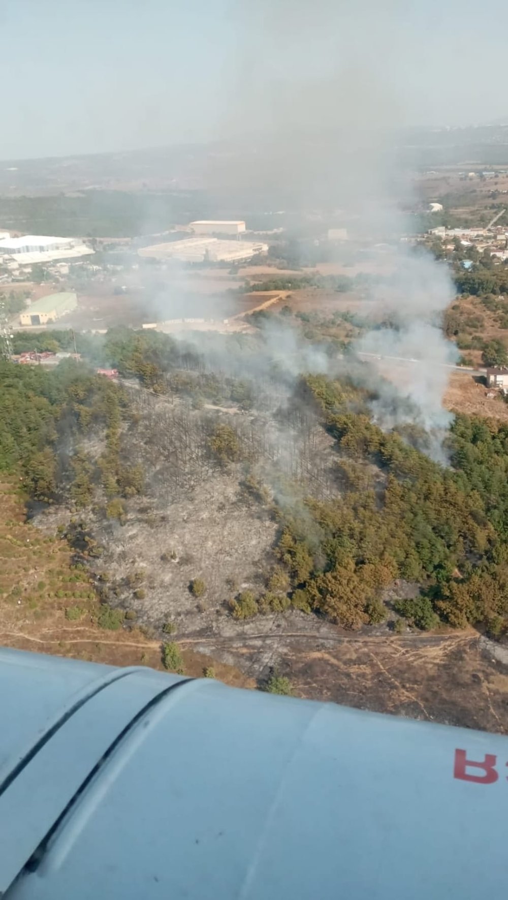 2 dönüm orman kül oldu