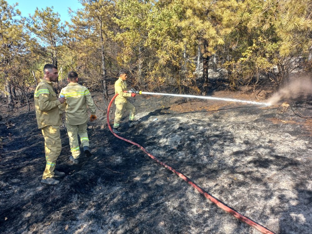 2 dönüm orman kül oldu