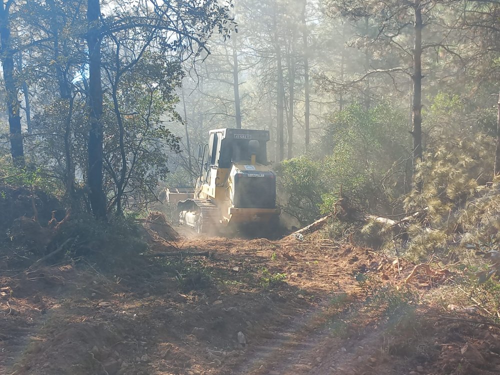 2 dönüm orman kül oldu