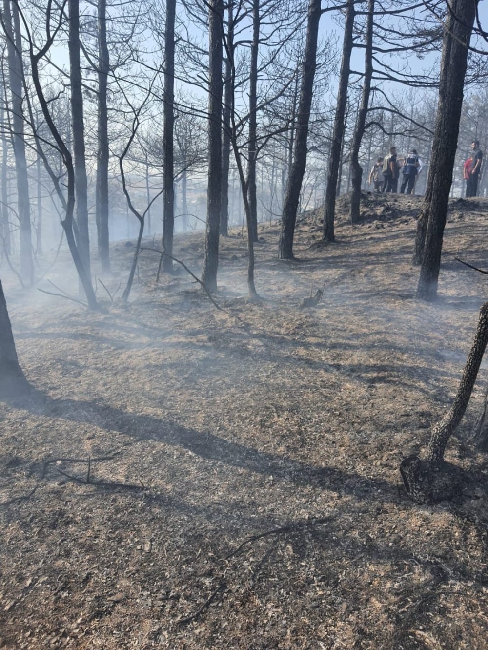 2 dönüm orman kül oldu