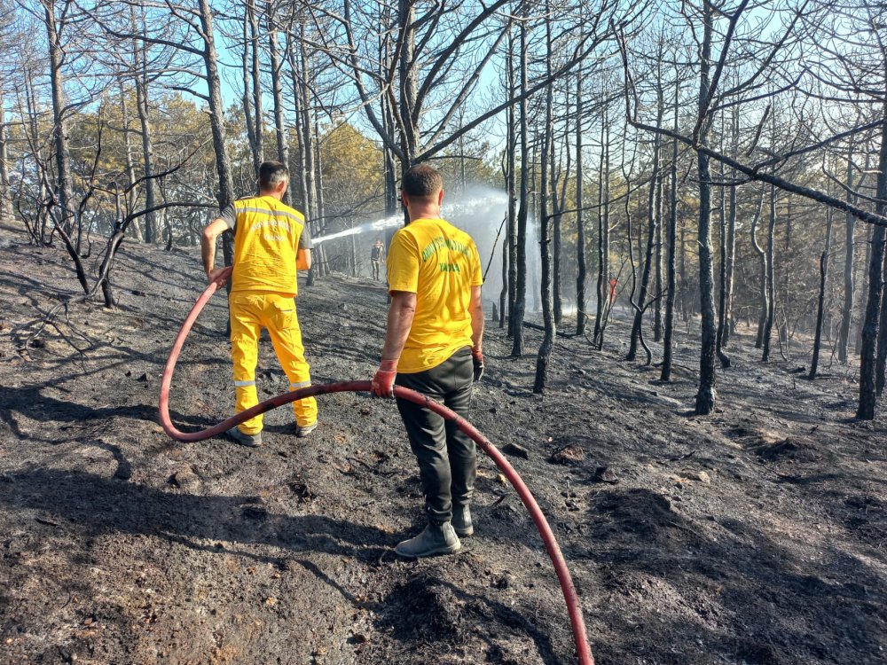 2 dönüm orman kül oldu