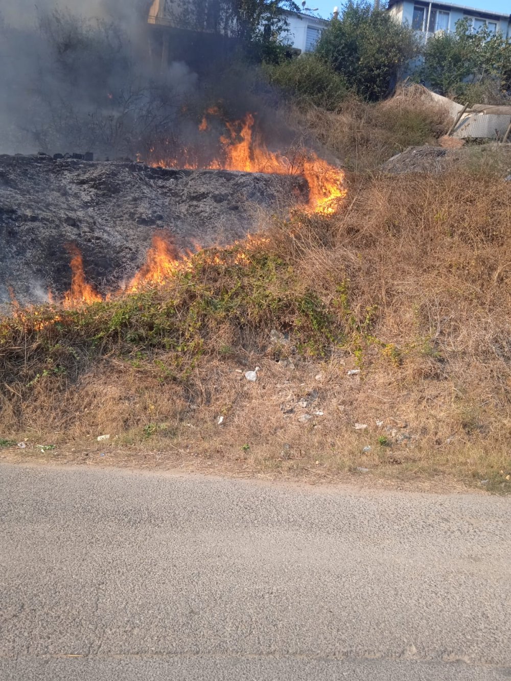Otluk alanda çıkan yangın kısa sürede söndürüldü