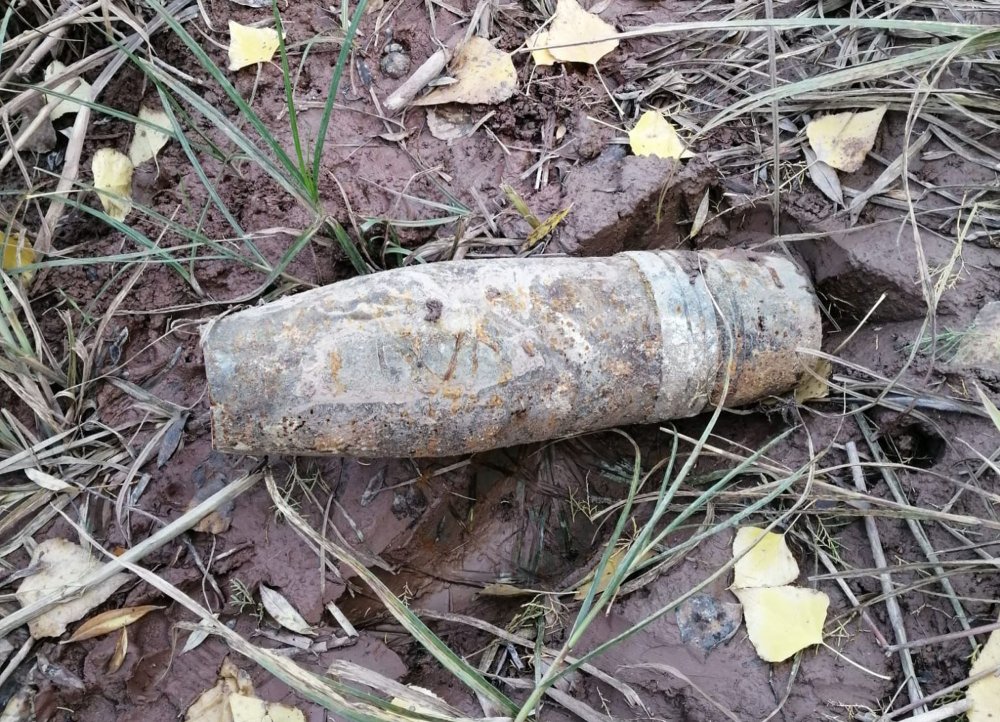 Balık tutmak isterken faciadan kıl payı kurtuldu