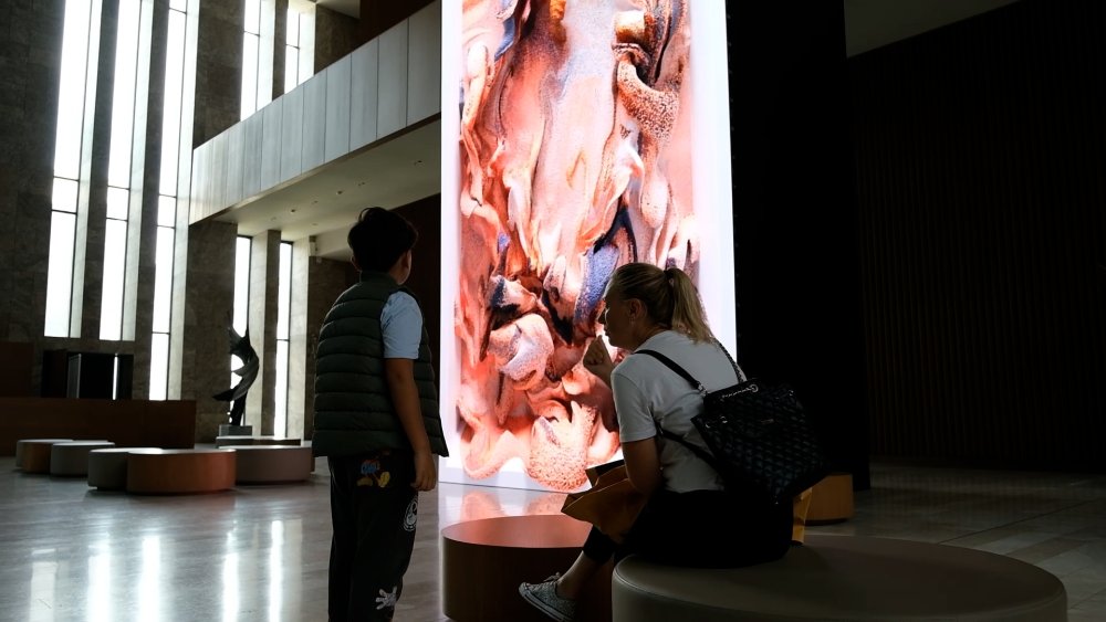 Beyoğlu Kültür Yolu Festivali, binlerce etkinliğe ev sahipliği yaptı