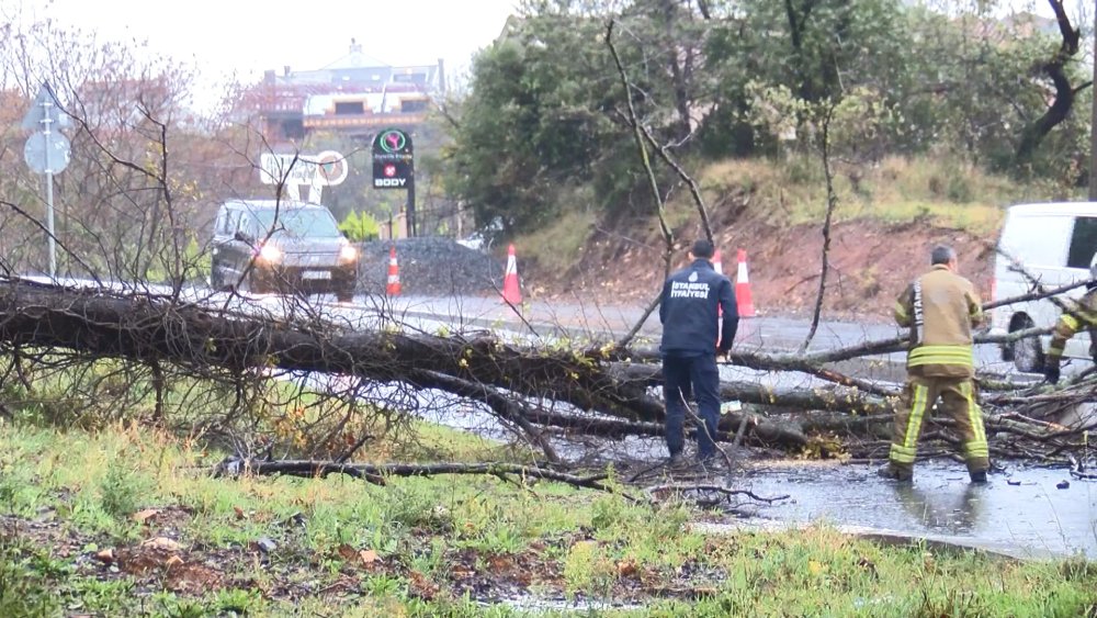 Fırtına nedeniyle ağaçlar yola devrildi
