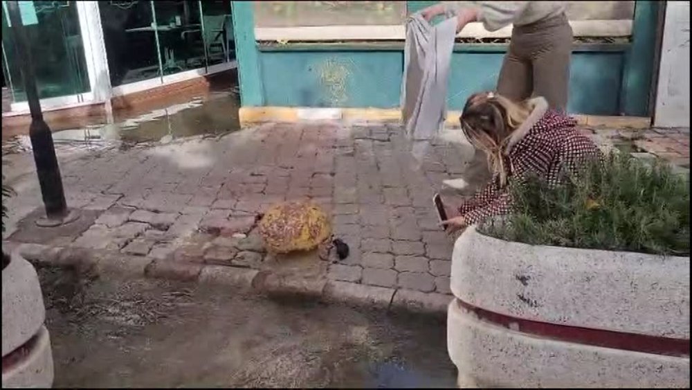 Hatay'da cadde ve sokaklar göle döndü