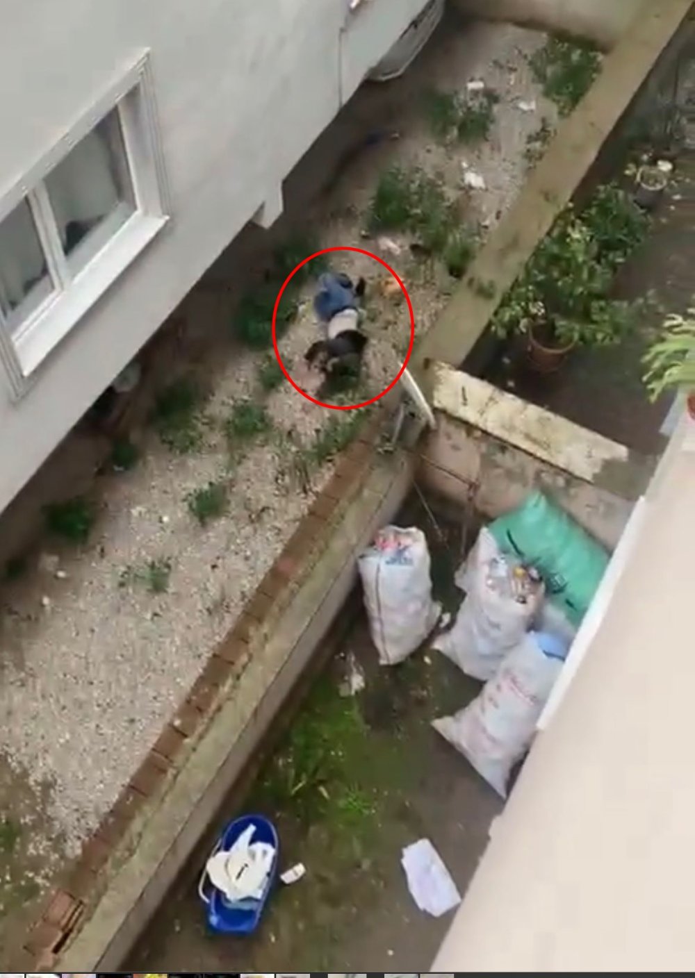 Sevgilisini 2. kattan iten kadın konuştu: Dengesini kaybedip düştü!