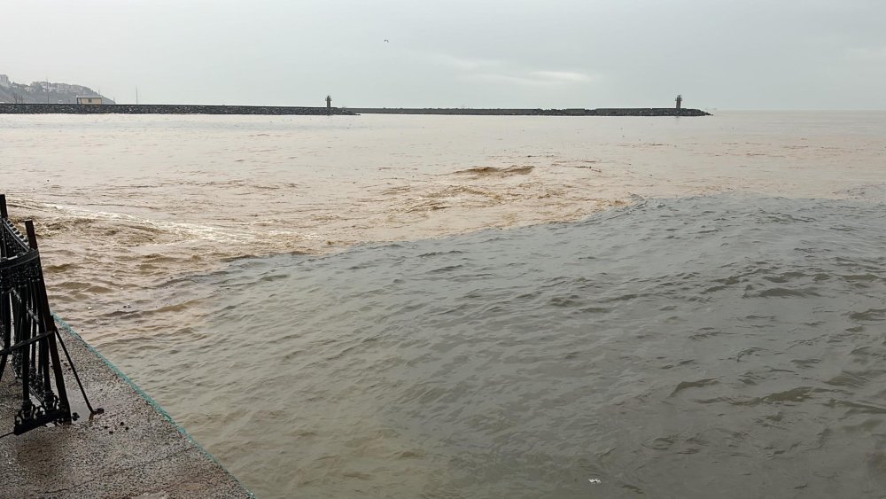 Tekirdağ'da denizin taşması sonucu işletmelerde hasar oluştu