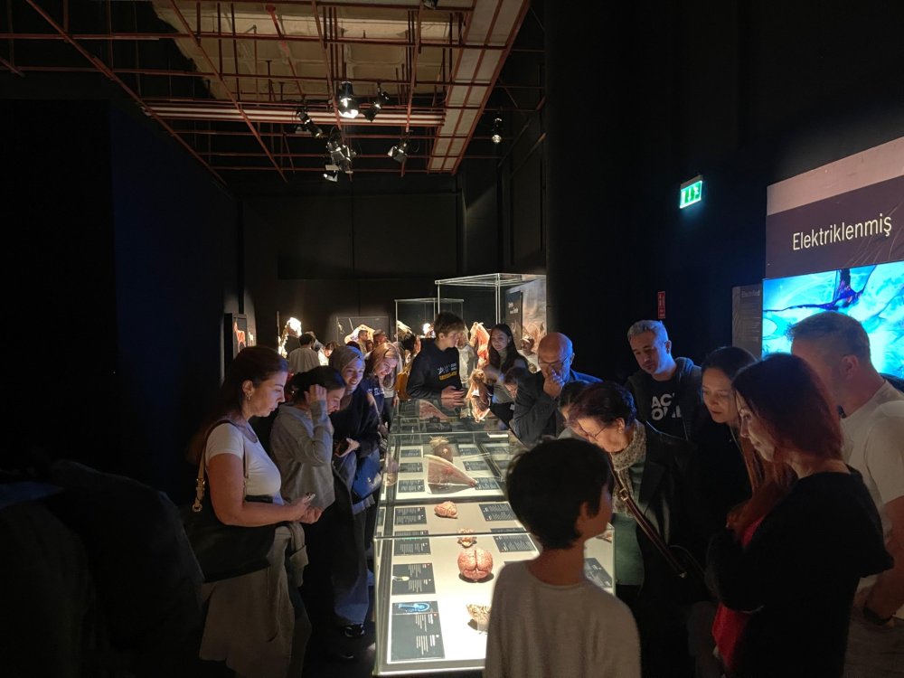 Gerçek Hayvanların Anatomi Sergisi’nin ziyaret tarihi uzatıldı