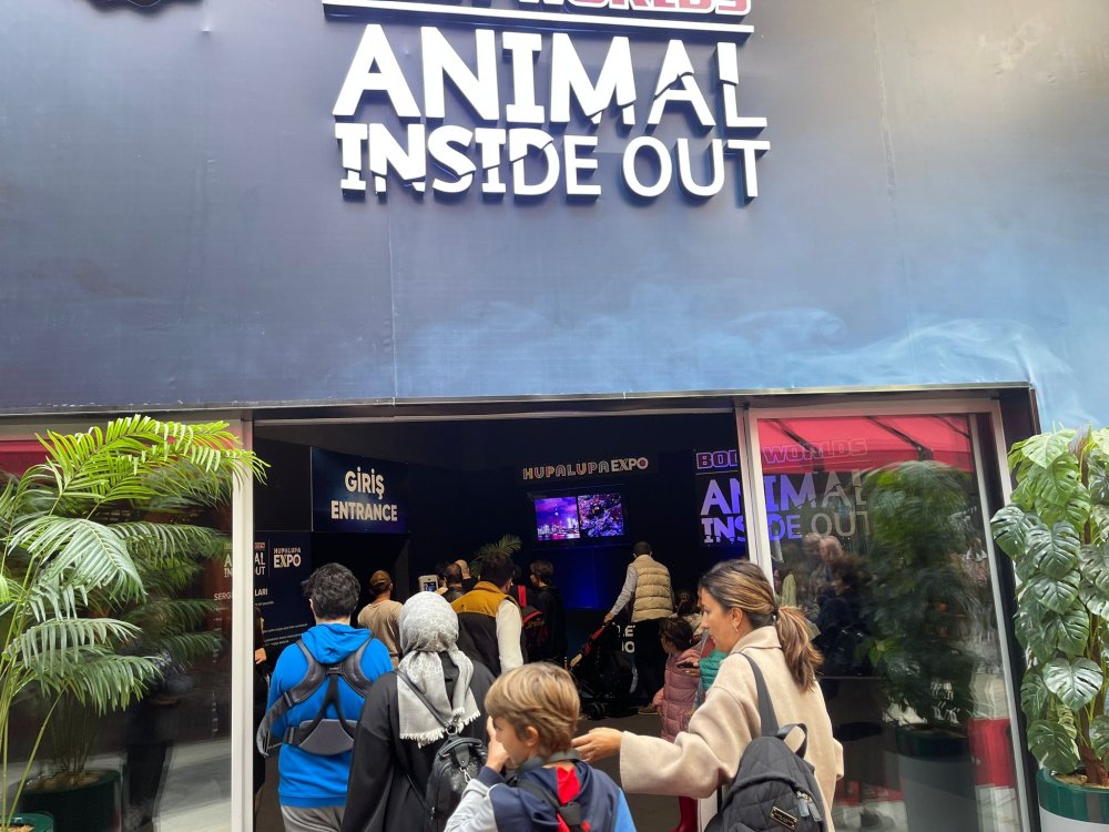 Gerçek Hayvanların Anatomi Sergisi’nin ziyaret tarihi uzatıldı