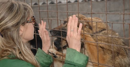 Ünlü komedyenden hayvan derneklerine rekor bağış