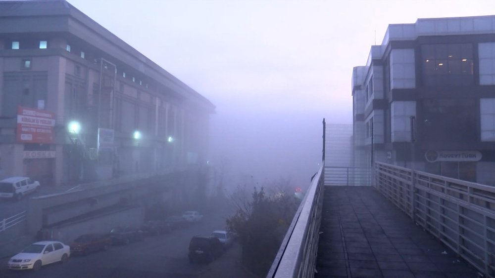 Megakenti sis vurdu!