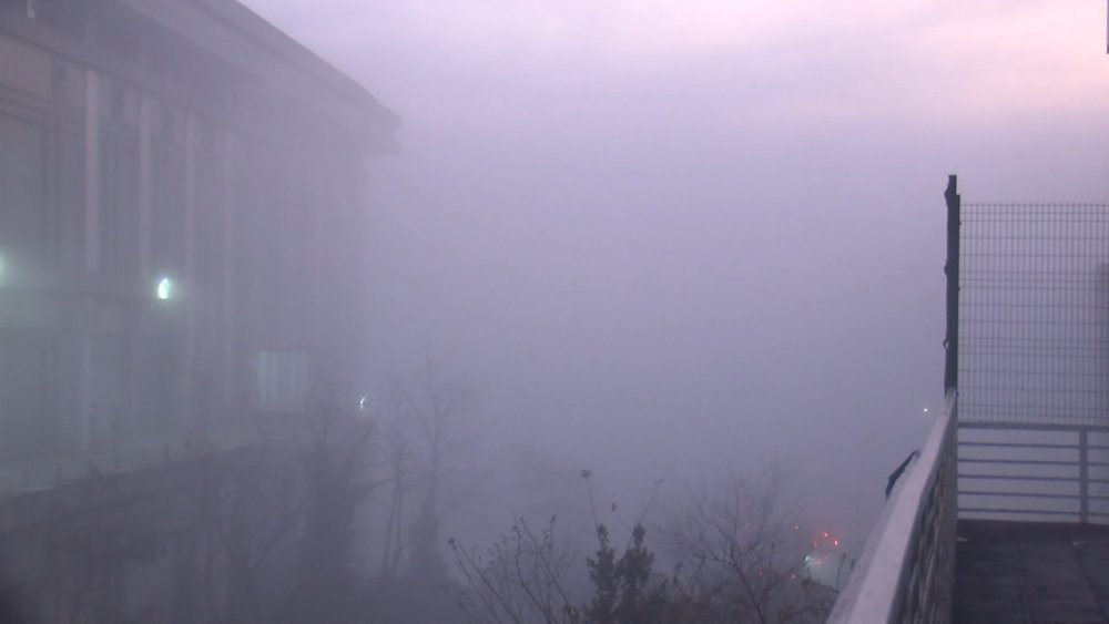 Megakenti sis vurdu!