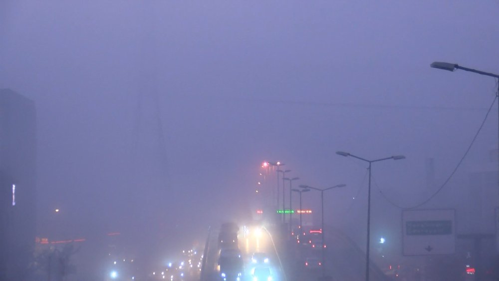 Megakenti sis vurdu!