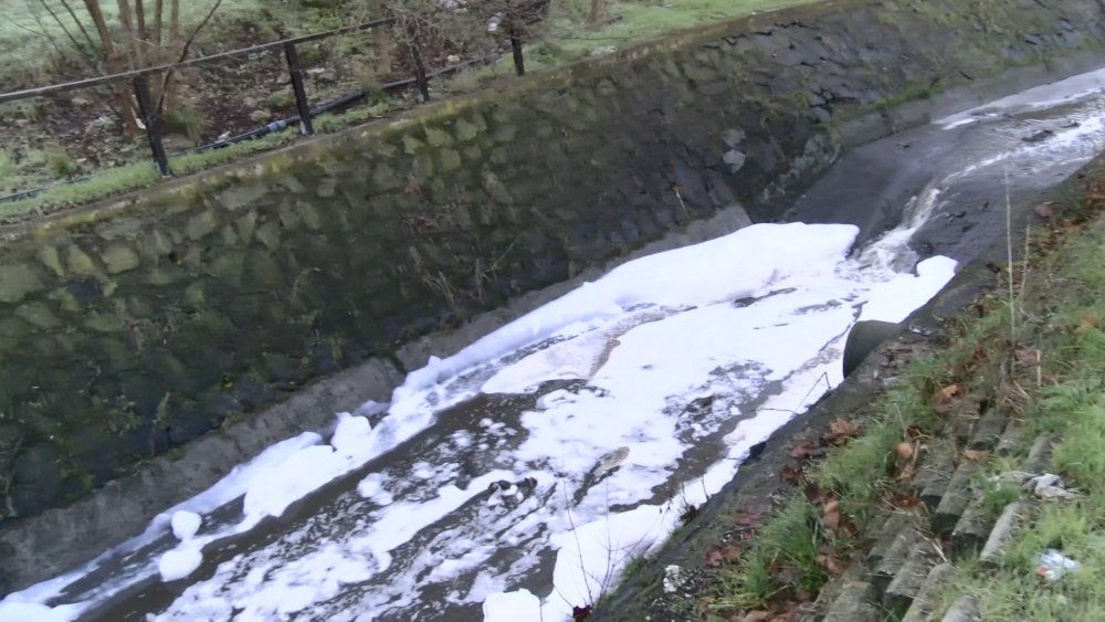Köpüklü dere tedirginlik yarattı! Kimyasal tehlikesi mi var?