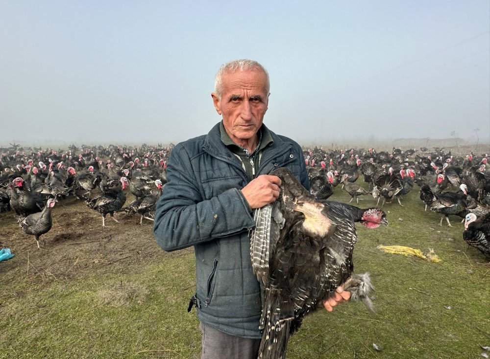 Yılbaşı hindisinin kilosu 350 lira!