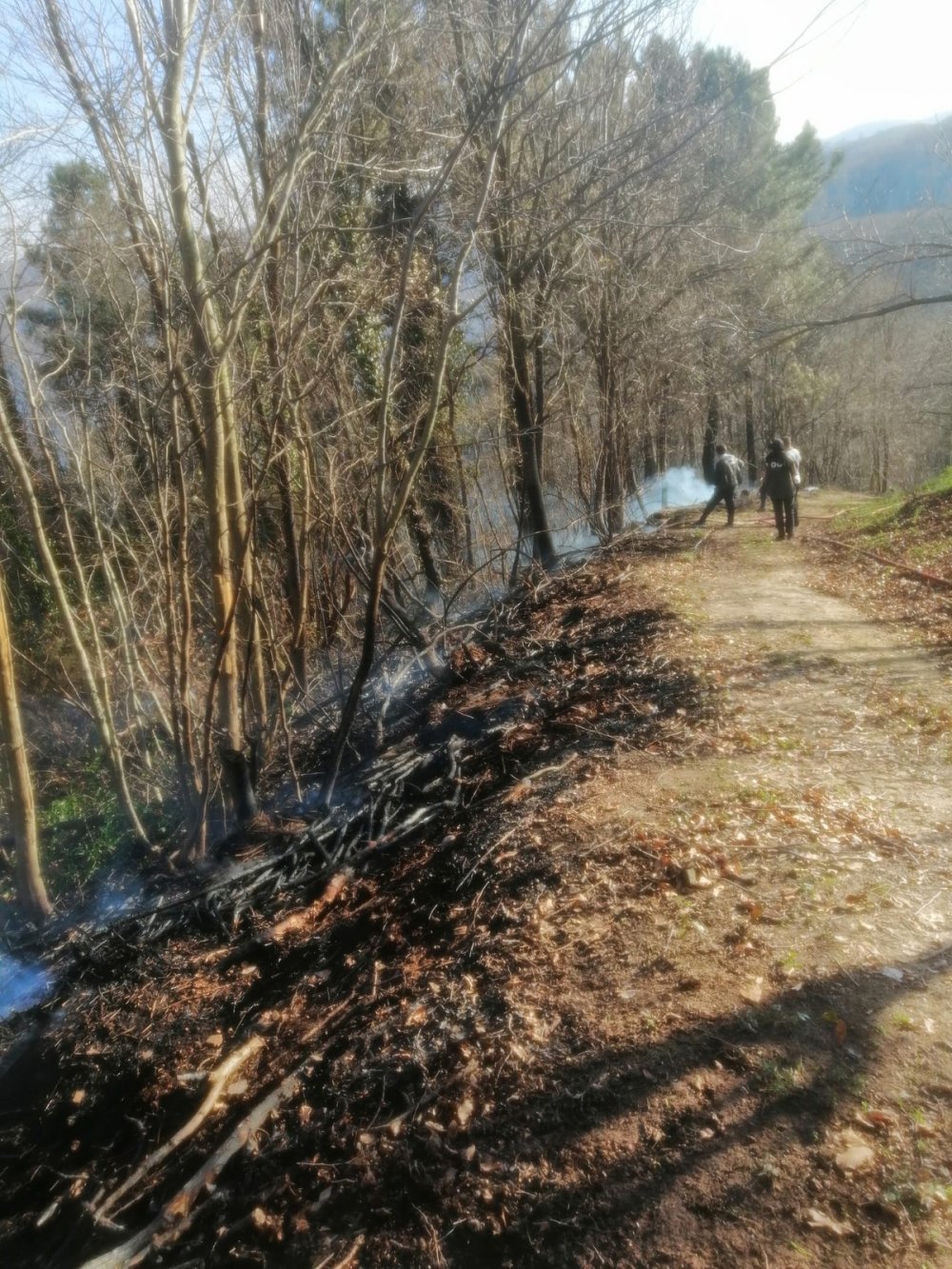 Sakarya'daki yangın kontrol altına alındı