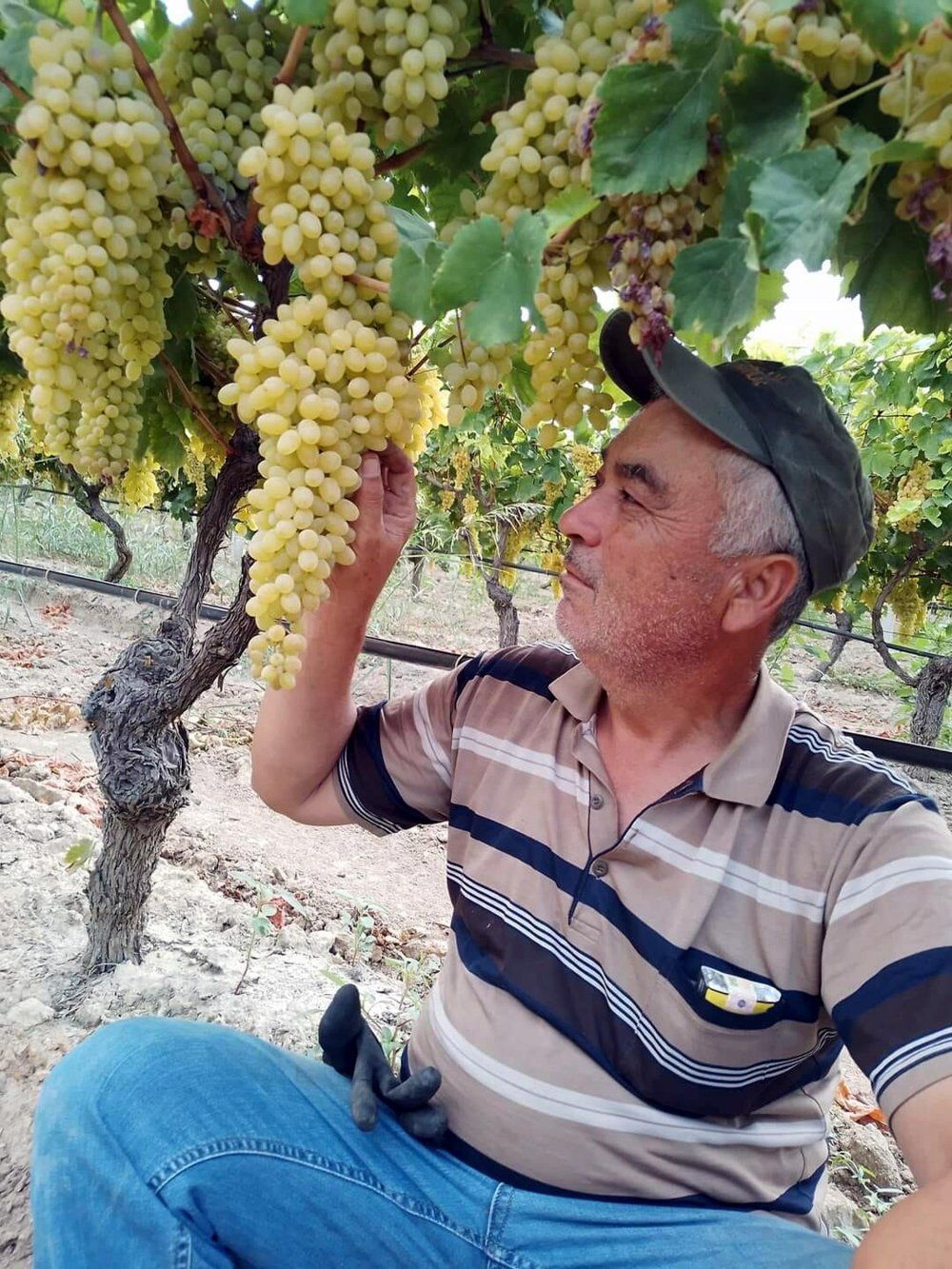 Traktörün yanında av tüfeğiyle vurulan çiftçi yaşamını yitirdi
