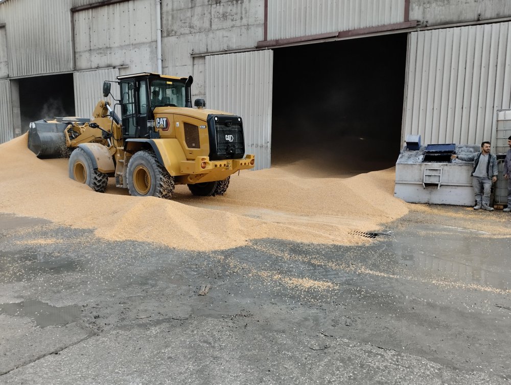 İşçinin acı ölümü: Tonlarca mısırın altında kaldı