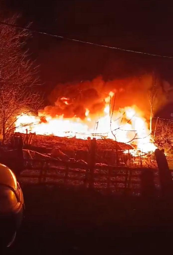 Ahırda yangın çıktı! Hayvanlar telef oldu
