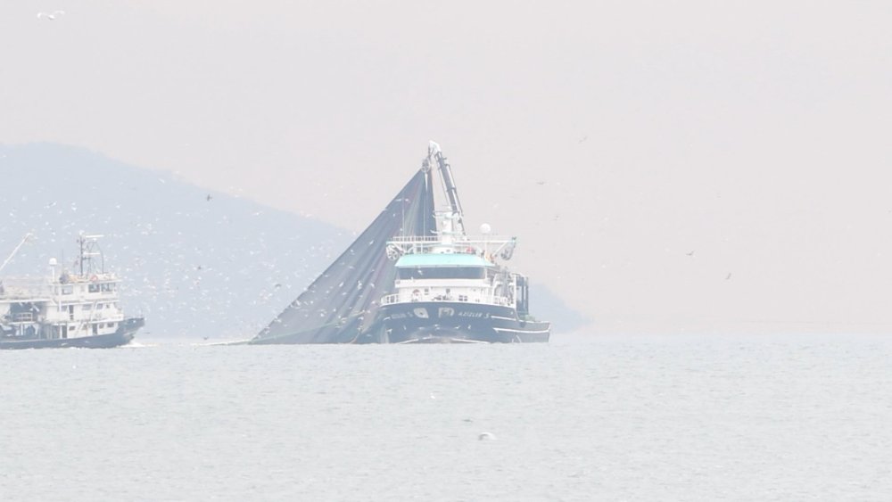 İstanbul Boğazı'nda tekneler kıyıya yaklaştı, "24 metre" tartışması çıktı