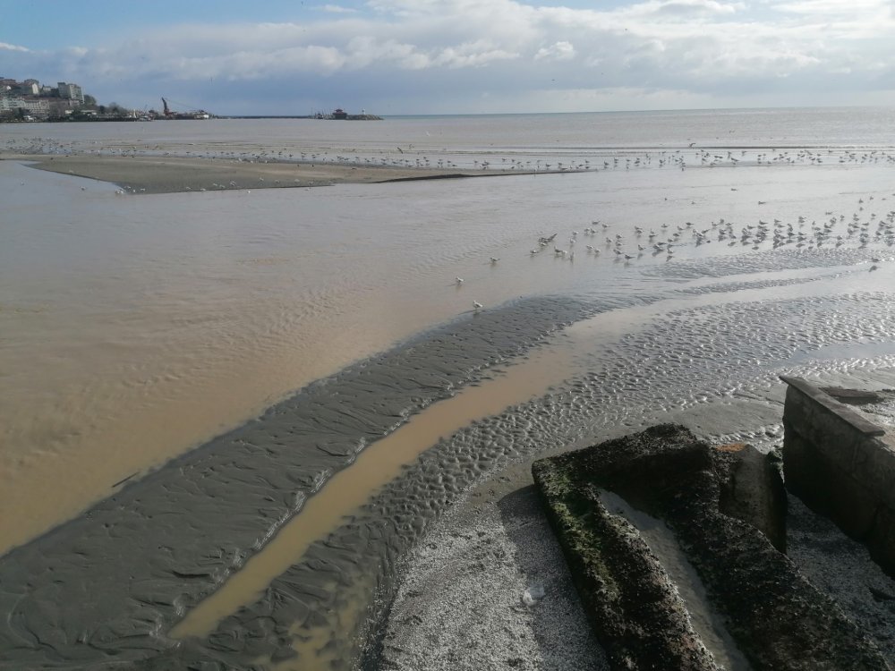 Sahil şeridini sular altında! Denizle kara birleşti