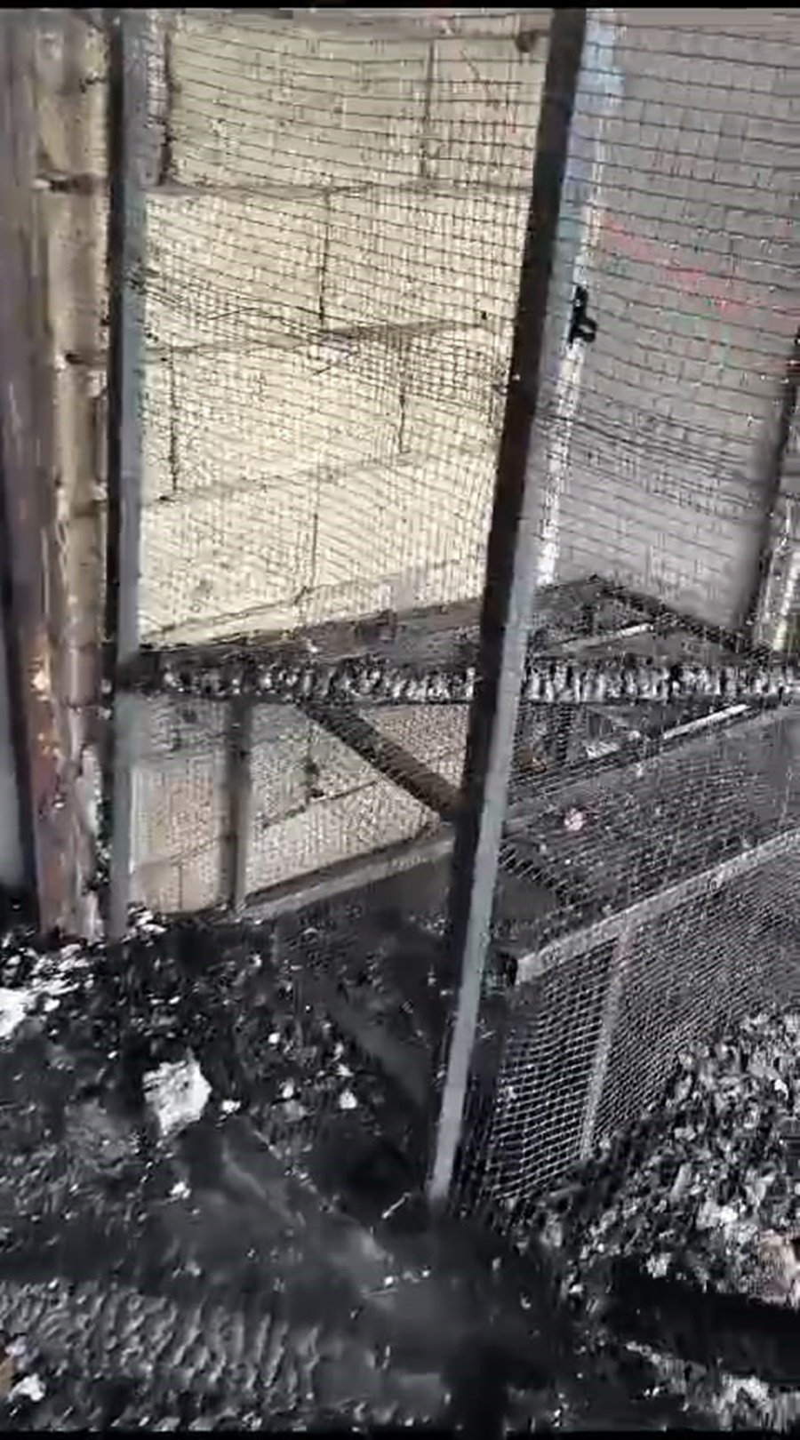 Güvercin otelinde yangın: Yüzlerce kuş telef oldu