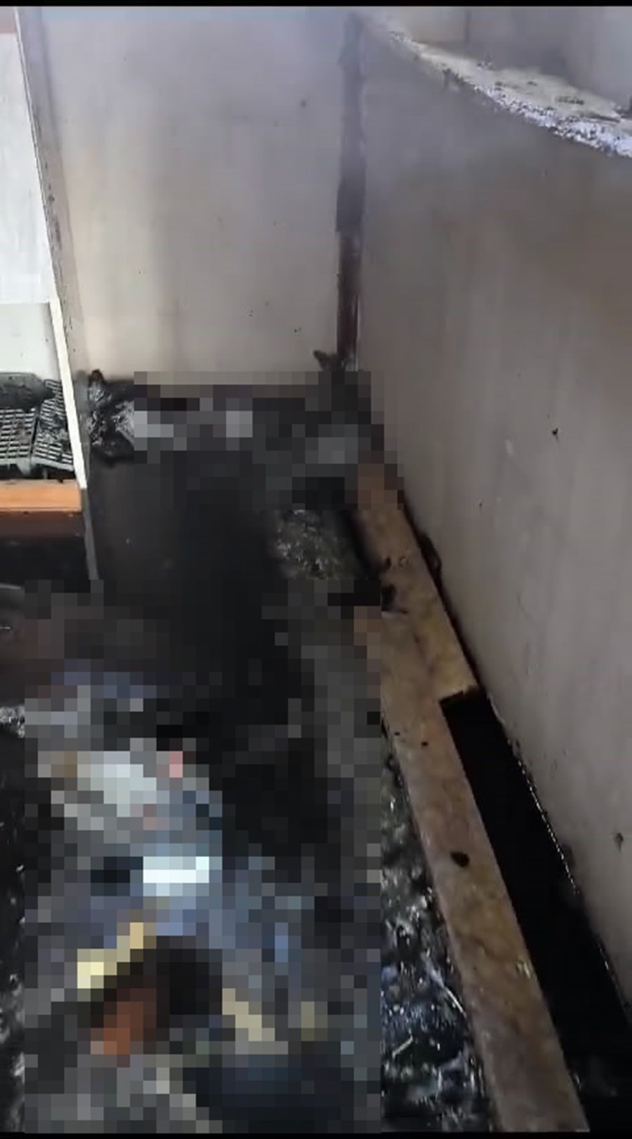 Güvercin otelinde yangın: Yüzlerce kuş telef oldu