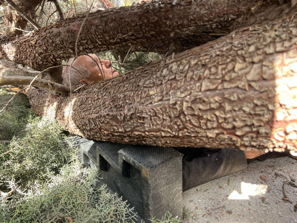 Belediye başkan adayı ve oğlu devrilen ağacın altında kaldı