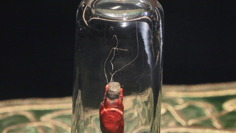 Hırka-i Şerif ziyarete açıldı