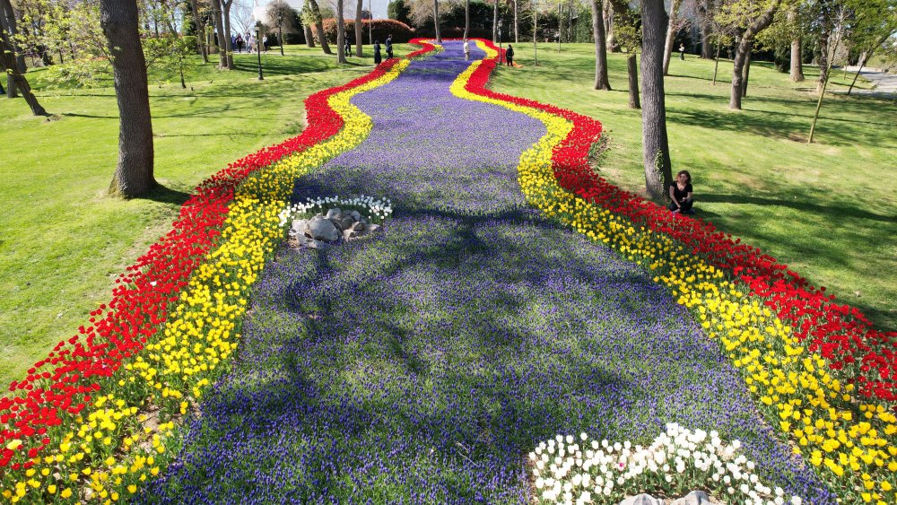 İstanbul'da lale şöleni: 8 milyon lale dikildi