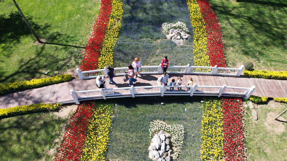 İstanbul'da lale şöleni: 8 milyon lale dikildi