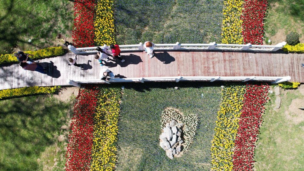 İstanbul'da lale şöleni: 8 milyon lale dikildi