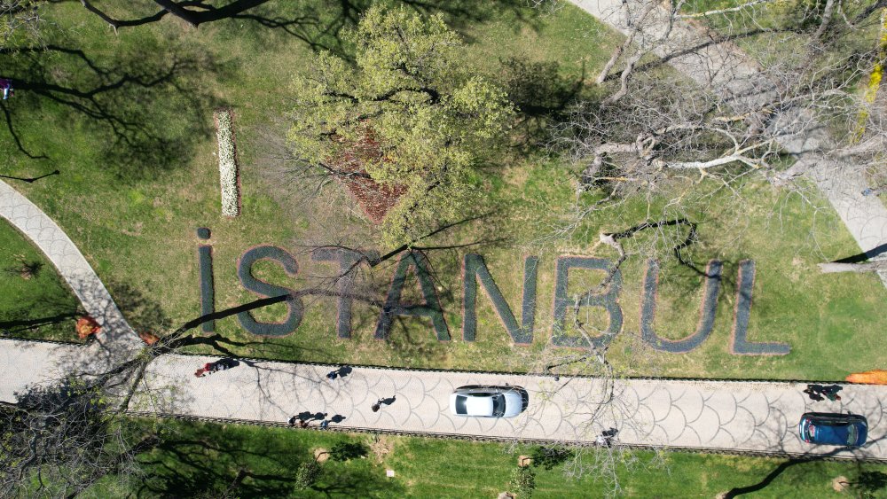 İstanbul'da lale şöleni: 8 milyon lale dikildi