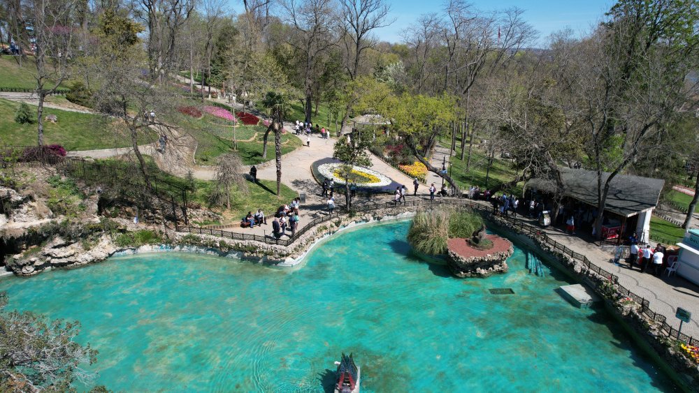 İstanbul'da lale şöleni: 8 milyon lale dikildi