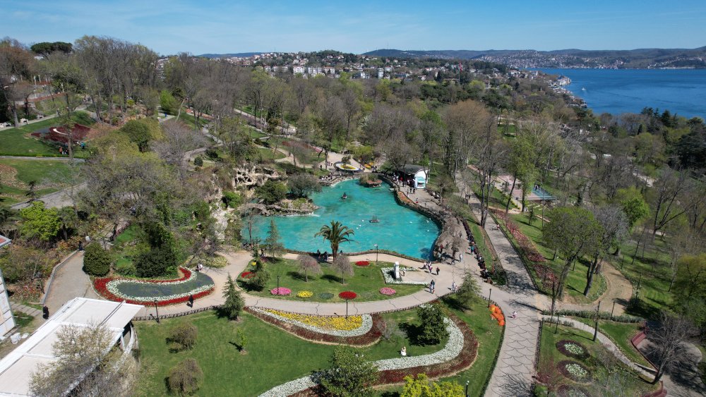 İstanbul'da lale şöleni: 8 milyon lale dikildi