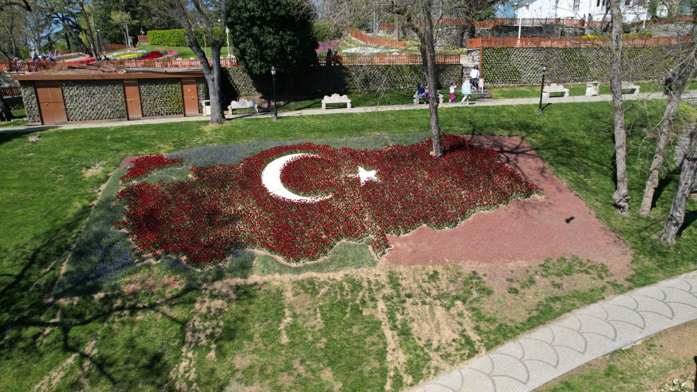 İstanbul'da lale şöleni: 8 milyon lale dikildi