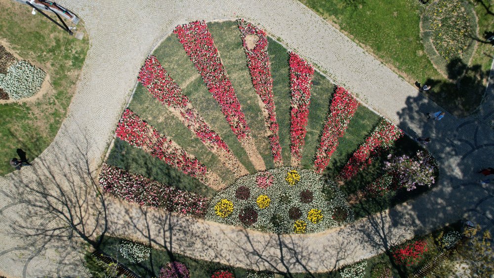 İstanbul'da lale şöleni: 8 milyon lale dikildi