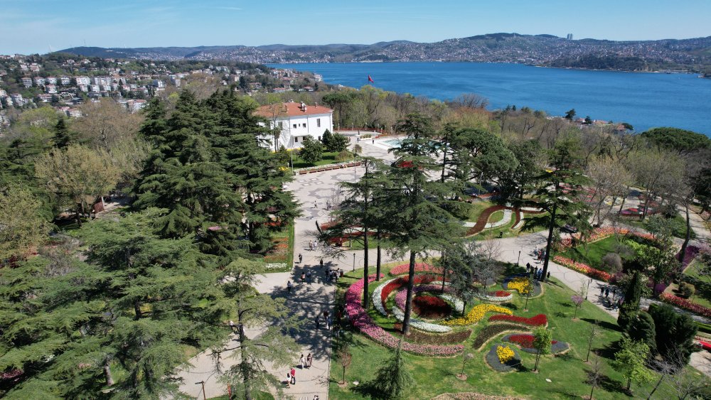 İstanbul'da lale şöleni: 8 milyon lale dikildi