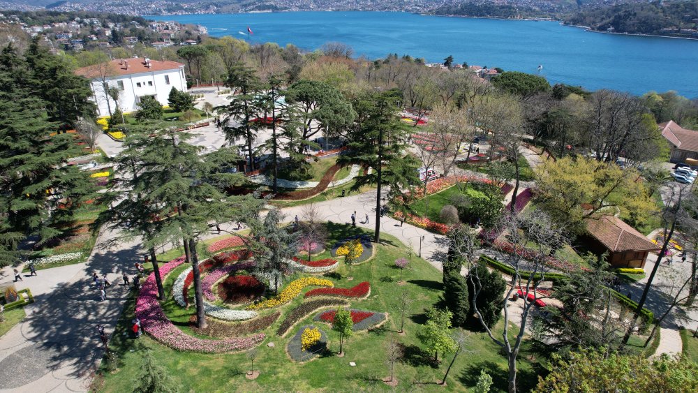 İstanbul'da lale şöleni: 8 milyon lale dikildi