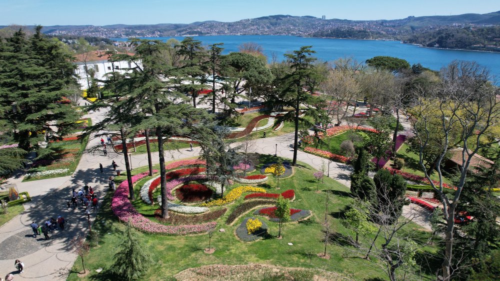 İstanbul'da lale şöleni: 8 milyon lale dikildi