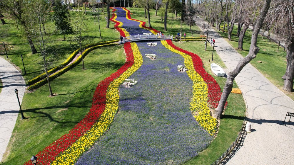 İstanbul'da lale şöleni: 8 milyon lale dikildi