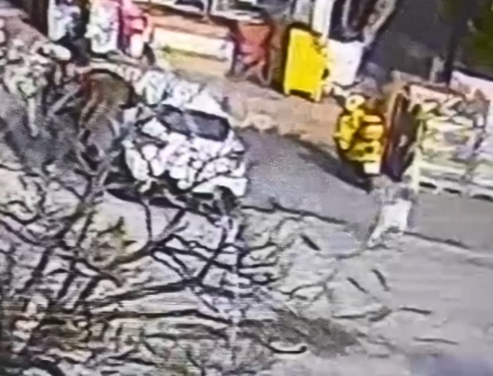 Pitbull saldırısının görüntüleri ortaya çıktı