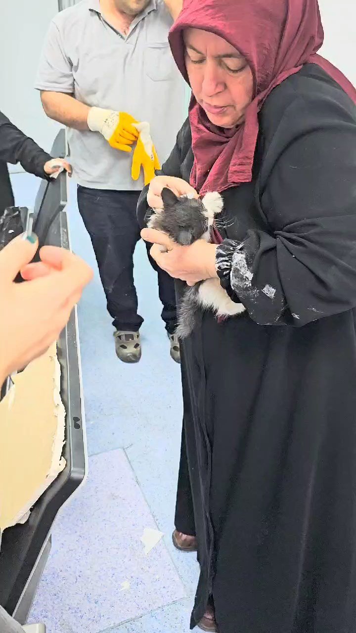 Hastanenin havalandırma boşluğuna düşen yavru kedi kurtarıldı