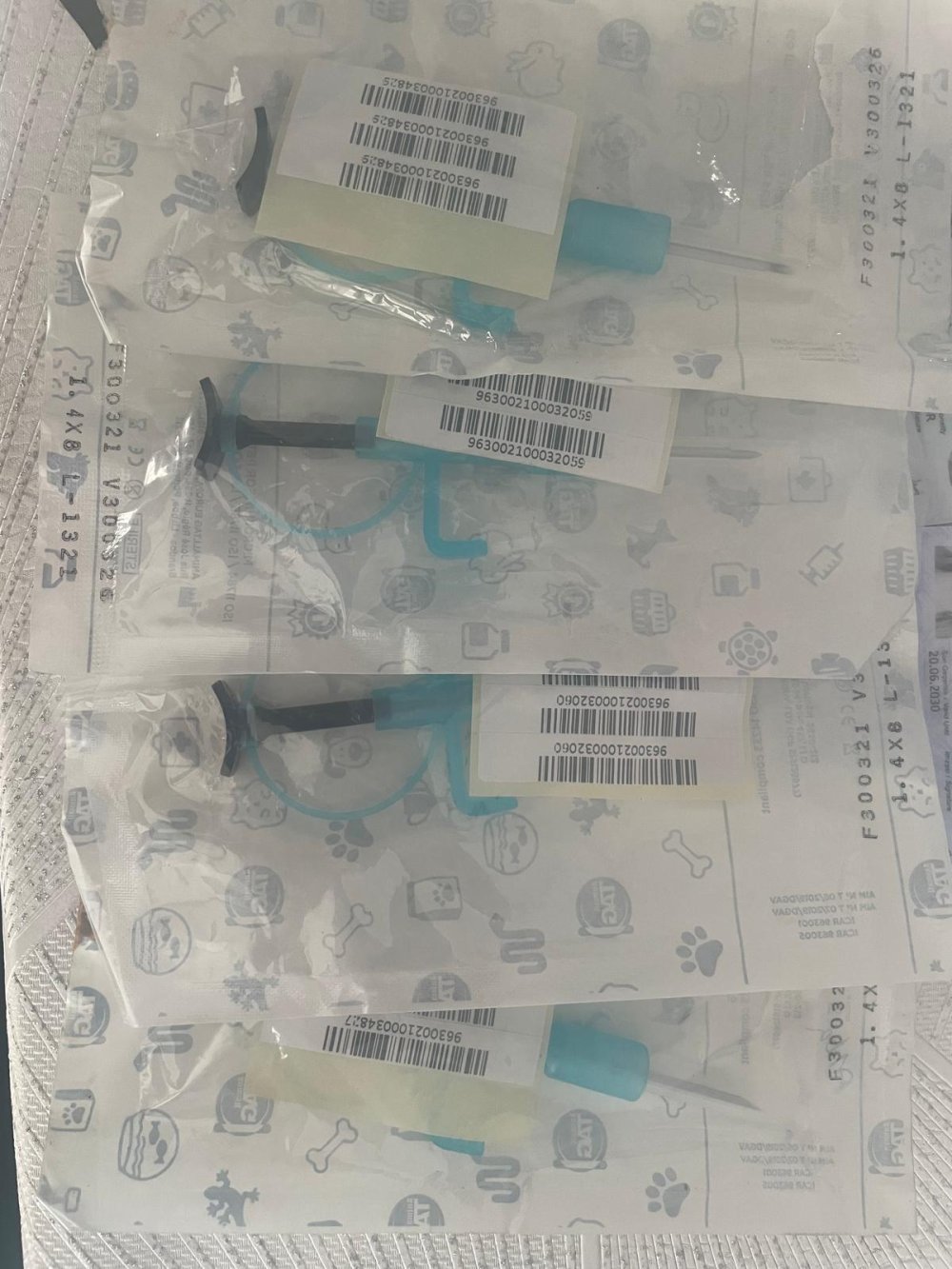 İstanbul'da hayvan kaçakçılığı operasyonu: 'Komodo ejderi, yavru timsah, parmak maymun, tarantula...'